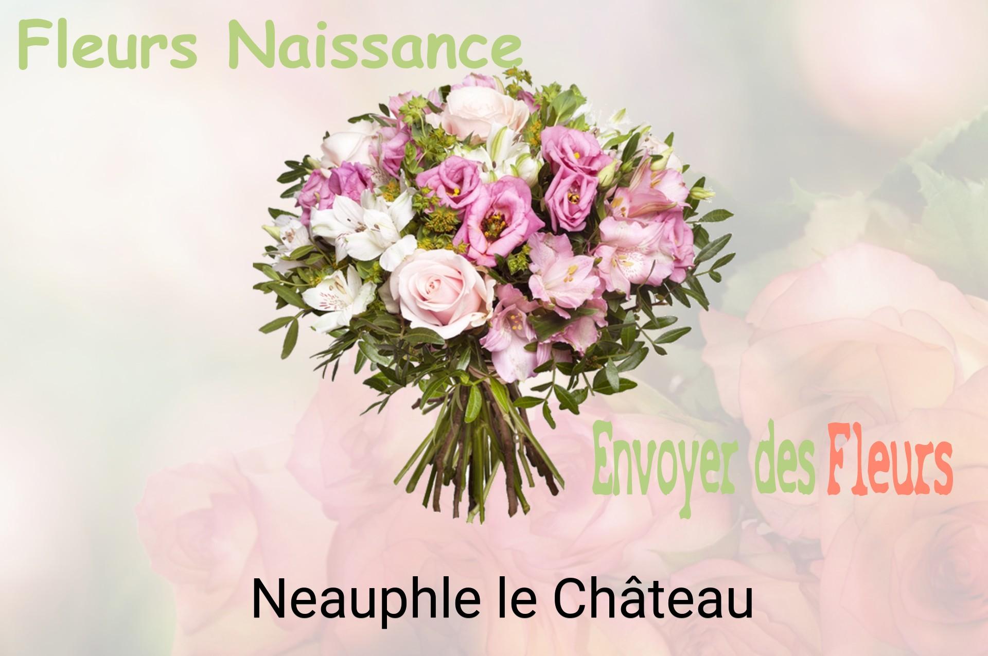 Bouquet de fleurs de naissance livré à Neauphle-le-Château