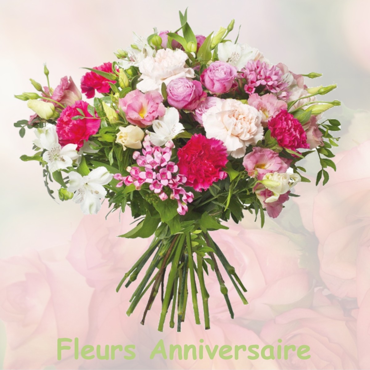 fleurs anniversaire NEAUPHLE-LE-CHATEAU